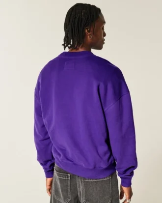 Boxy Northwestern University Wildcats Graphic Crew Sweatshirt