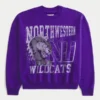 Boxy Northwestern University Wildcats Graphic Crew Sweatshirt