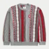 Boxy Ohio State University Buckeyes Crew-Pullover mit Grafik