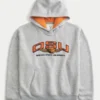 Boxy Oregon State University Beavers Grafik-Hoodie