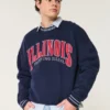 Boxy University of Illinois Fighting Illini Graphic Crew Sweatshirt