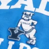 Boxy Yale Bulldogs Grafik-Hoodie