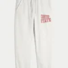 Die Ohio State University Buckeyes Graphic Baggy Cinch Fleece Jogginghose Die Ohio State University Buckeyes Graphic Baggy Cinch Fleece Jogginghose