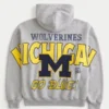 Kastiger Hoodie mit Reißverschluss und Grafik der University of Michigan Wolverines Kastiger Hoodie mit Reißverschluss und Grafik der University of Michigan Wolverines
